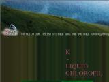 Chlorofil w pynie - K Liquid Chlorofil