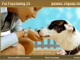 Psi Psycholog Zoopsycholog